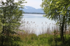 Natur